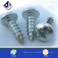 Fabriqué en Chine Screw Screw